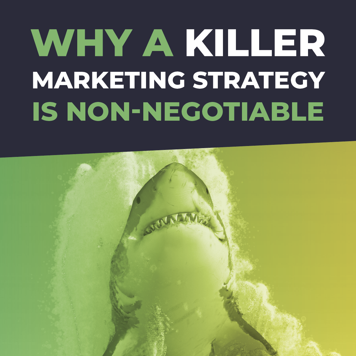 Why a Killer Marketing Strategy Is Non-negotiable: Free Guide Download